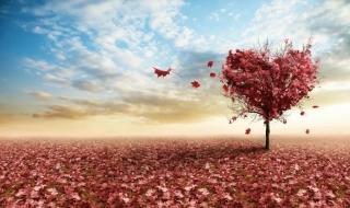 天地有情演员表 天地有情演员表