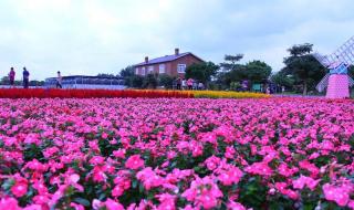 求指点!从化仙沐园温泉跟碧泉湾温泉度假村选哪个好 中山仙沐园温泉
